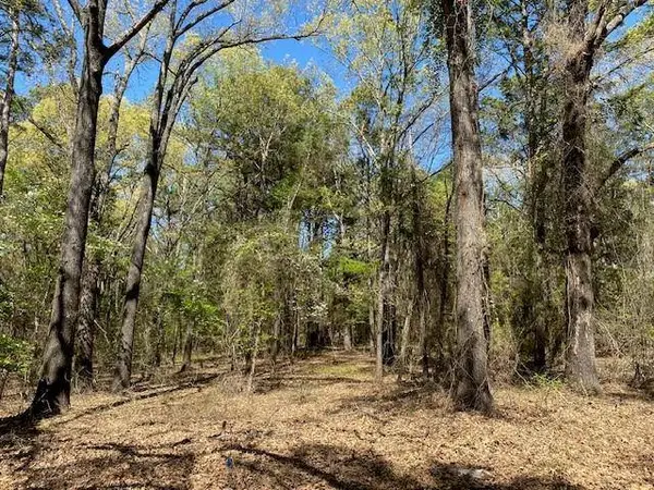 TBD Armadillo Dr, Murchison, TX 75778