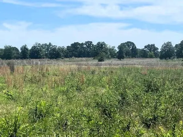 TBD Cr 1119, Athens, TX 75751