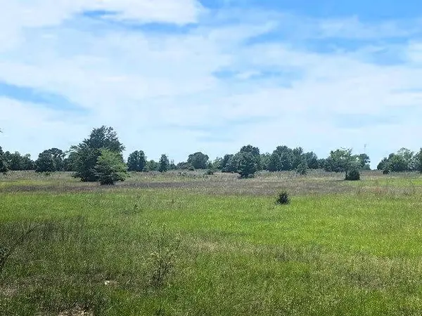 TBD Cr 1119, Athens, TX 75751