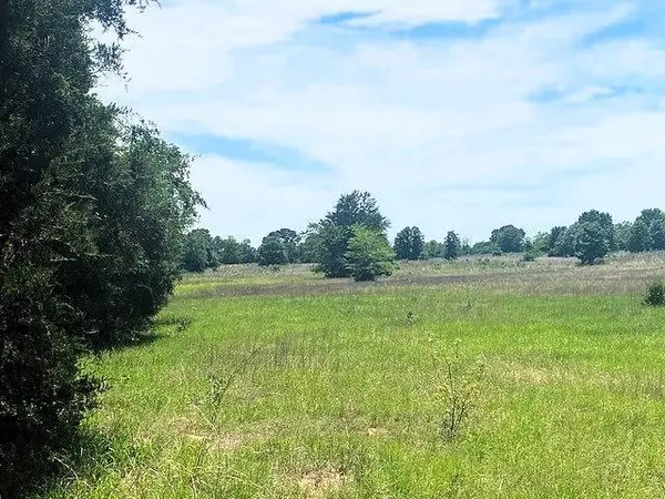 TBD Cr 1119, Athens, TX 75751