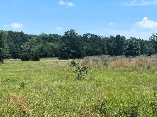 TBD Cr 1119, Athens, TX 75751