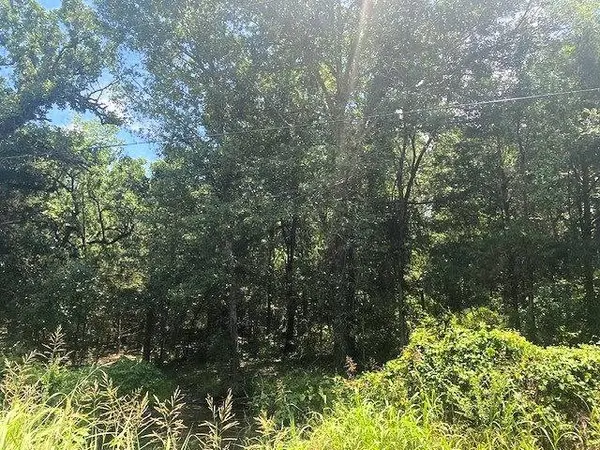TBD Cr 1119, Athens, TX 75751