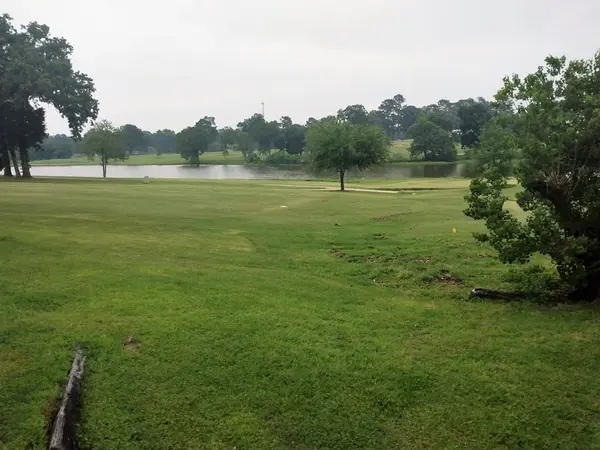801 Country Club Cir, Athens, TX 75751