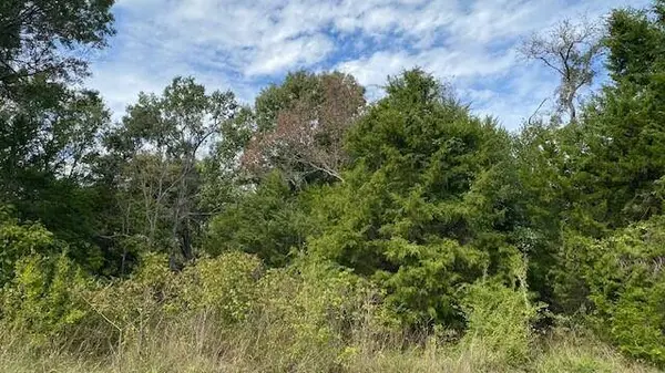TBD Fm 2709, Eustace, TX 75124