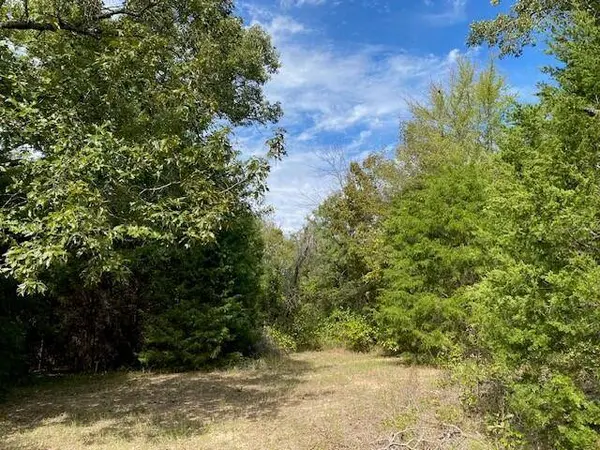 TBD Fm 2709, Eustace, TX 75124