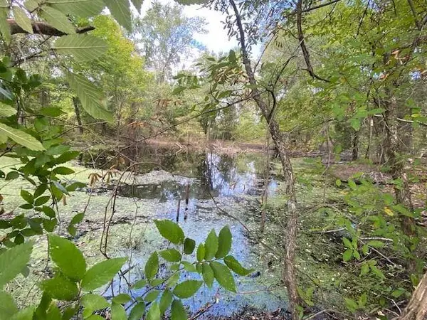 TBD Fm 2709, Eustace, TX 75124
