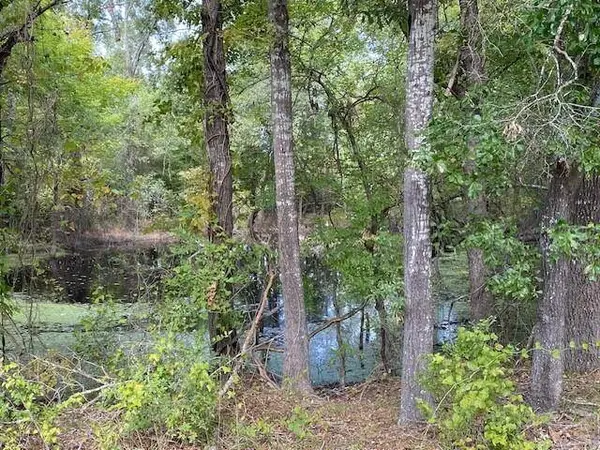 TBD Fm 2709, Eustace, TX 75124