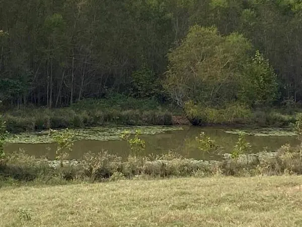 TBD Fm 315, Palestine, TX 75803