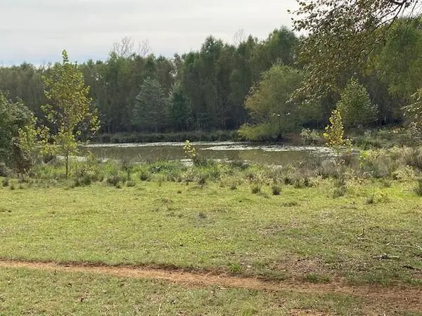 TBD Fm 315, Palestine, TX 75803