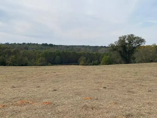 TBD Fm 315, Palestine, TX 75803