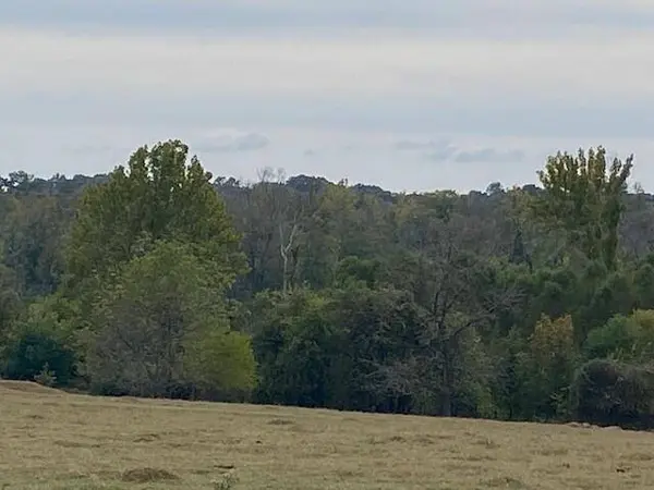 TBD Fm 315, Palestine, TX 75803