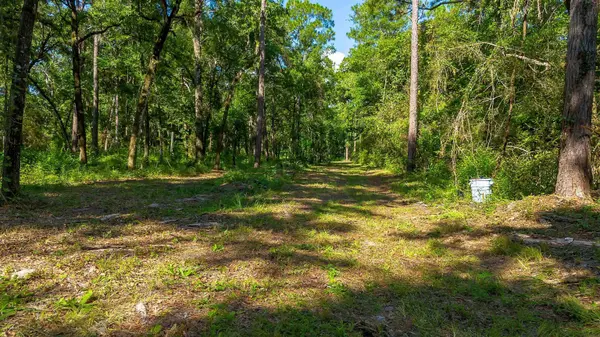 51 Ramblewood Road, Crawfordville, FL 32327