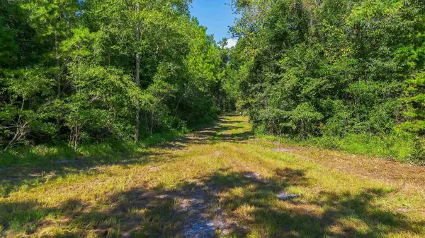 51 Ramblewood Road, Crawfordville, FL 32327