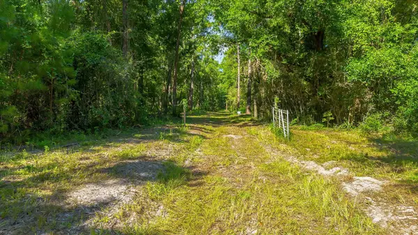 51 Ramblewood Road, Crawfordville, FL 32327
