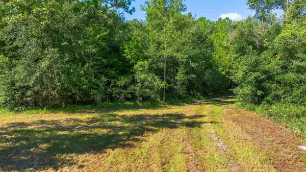 51 Ramblewood Road, Crawfordville, FL 32327