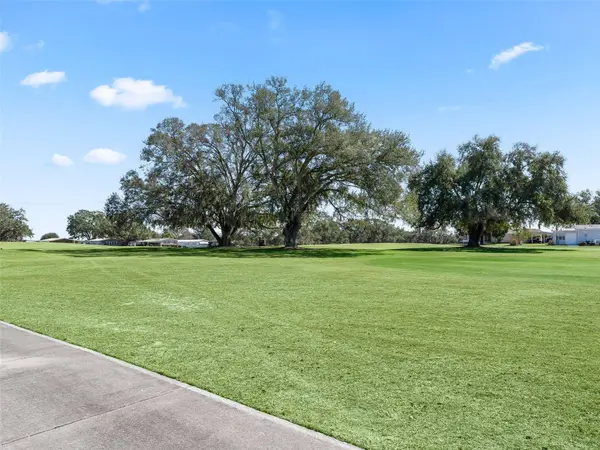 920 SAINT ANDREWS BLVD, Lady Lake, FL 32159