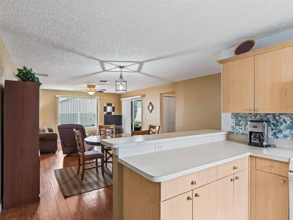 897 LIVINGSTON LOOP, The Villages, FL 32162