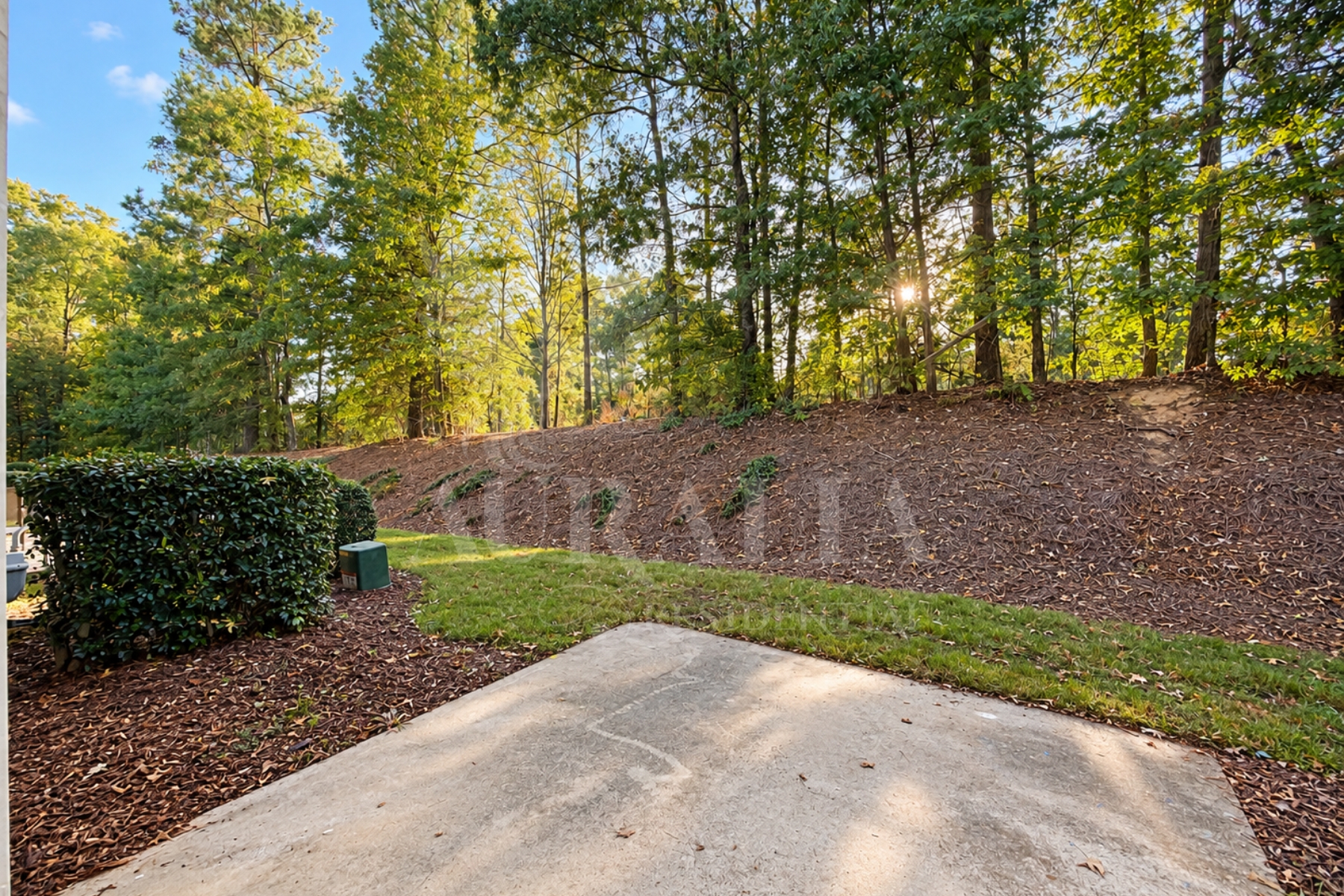 413 Plank Bridge Way townhome in Downing Village, Morrisville NC