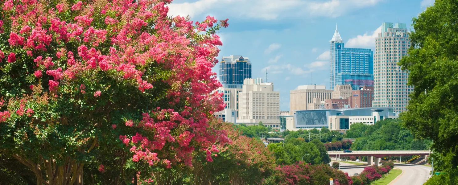 Raleigh, NC