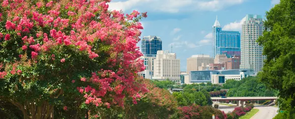 Raleigh North Carolina