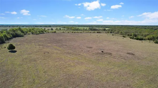 0 County Road 2125, Cooper, TX 75432