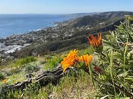 Laguna Niguel Badlands Trail with ocean views and coastal hills | outdoor lifestyle Laguna Niguel CA | Susan Chase relocation guide
