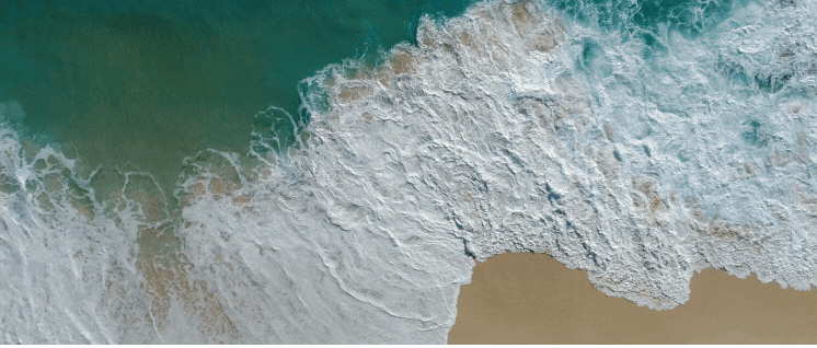 Into the weekend weekly Newsletter on local real estate and lifestyle