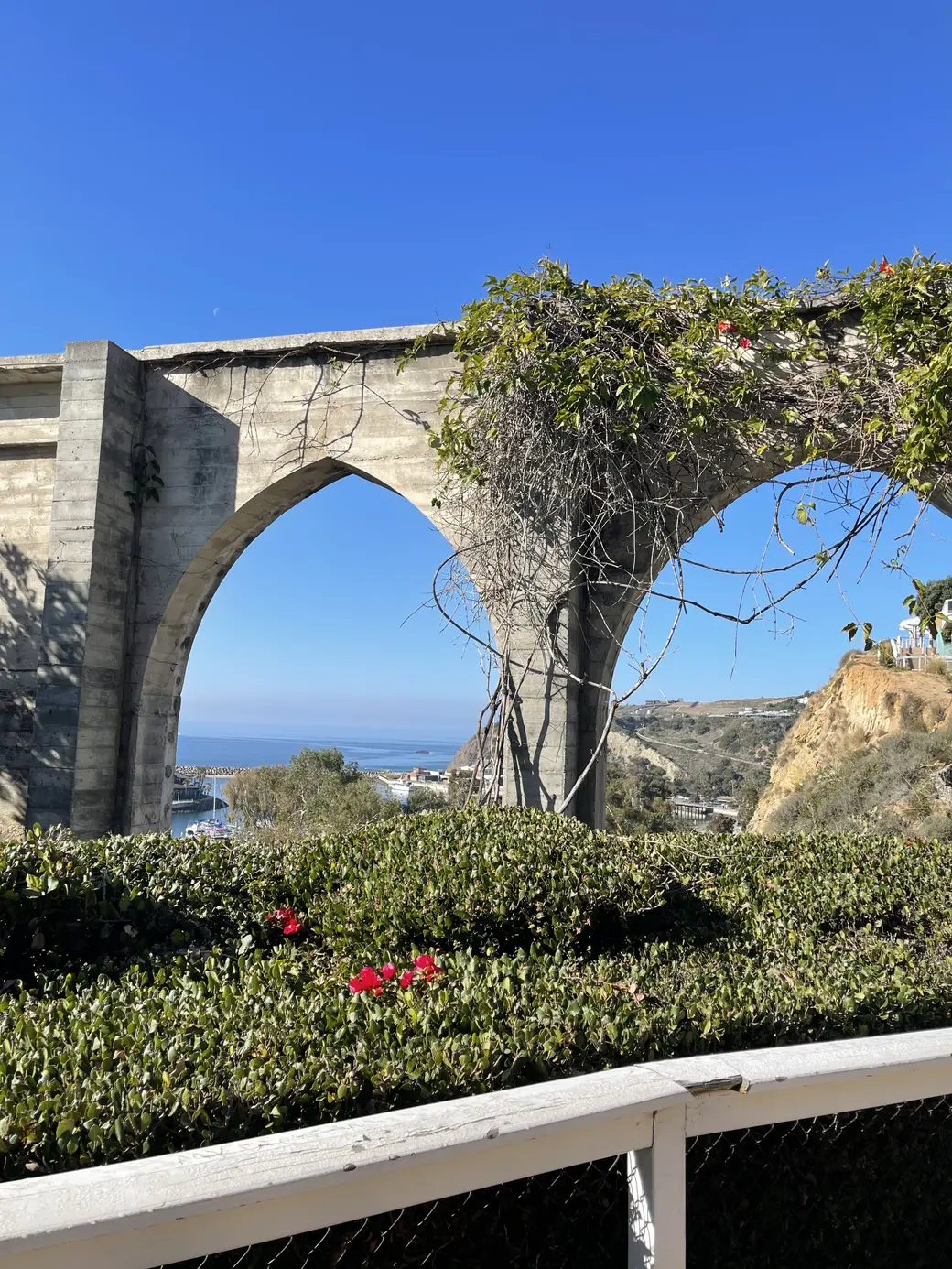 What is it Really Like to Live in Dana Point Year-Round?