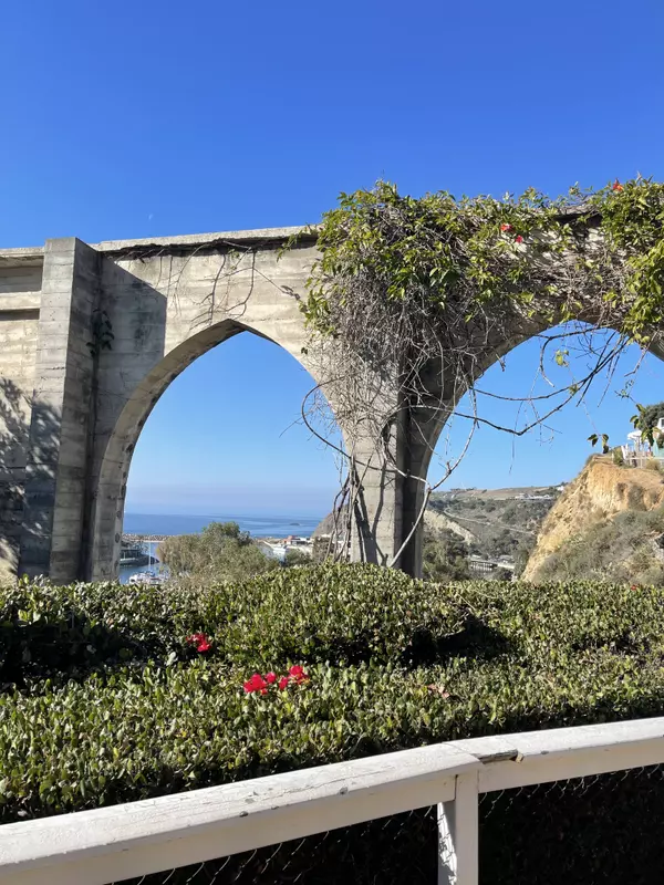 feature image of What is it Really Like to Live in Dana Point Year-Round?