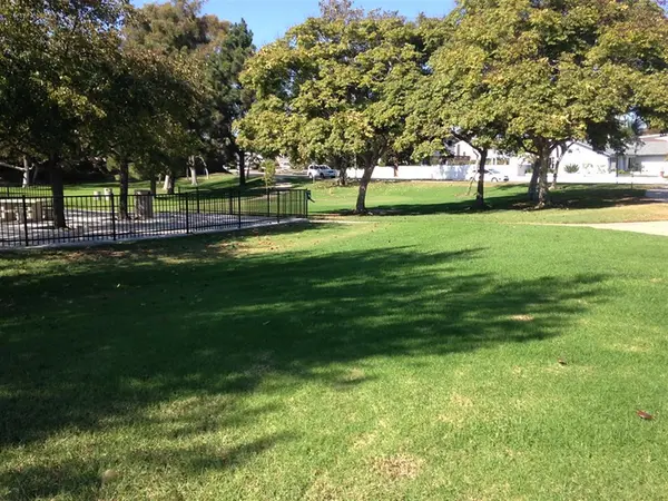 Pet Friendly Dana Point: Best Neighborhoods for Dog Owners,Susan Chase