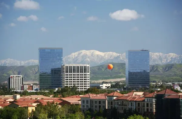 wmremove-transformed (4)