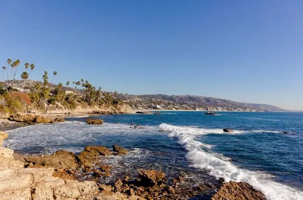 wmremove-transformed (3)