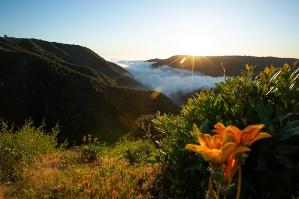 Aliso Summit Trail Laguna Niguel: A Seasonal Guide to the Ridge