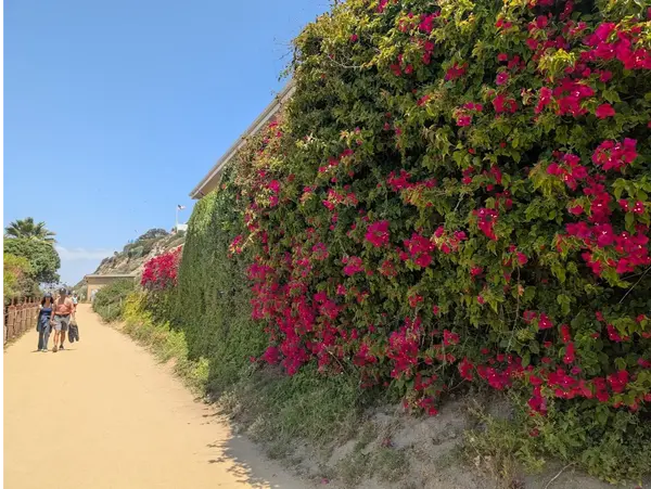 San Clemente Beach Trail Biking Guide: Routes, Safety, and Tips