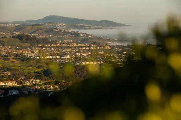 Does Laguna Niguel Have a Downtown? Sorting the Myths About Daily Life