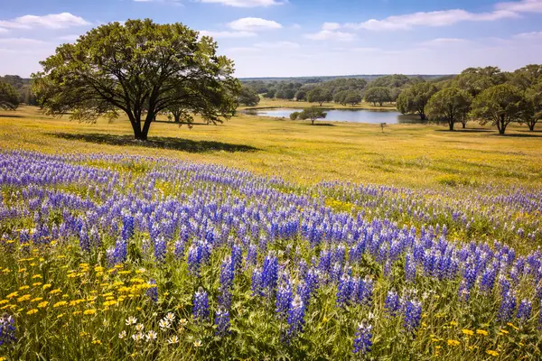 land-for-lease-hill-country