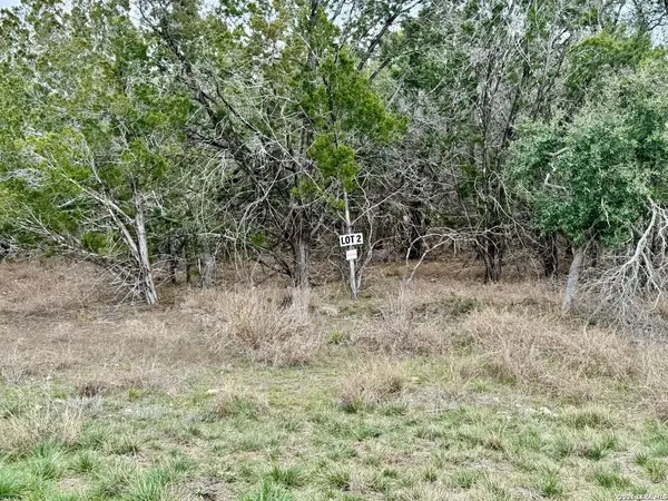 1712 Demi John Bend, Canyon Lake, TX 78133