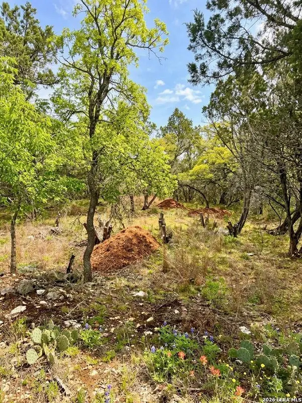 37 Stardust, Wimberley, TX 78676