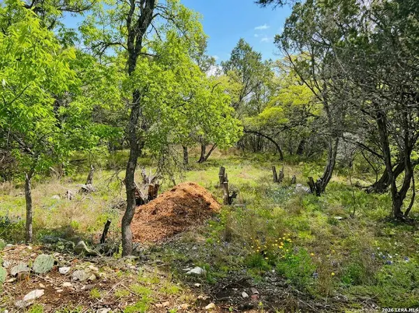 37 Stardust, Wimberley, TX 78676