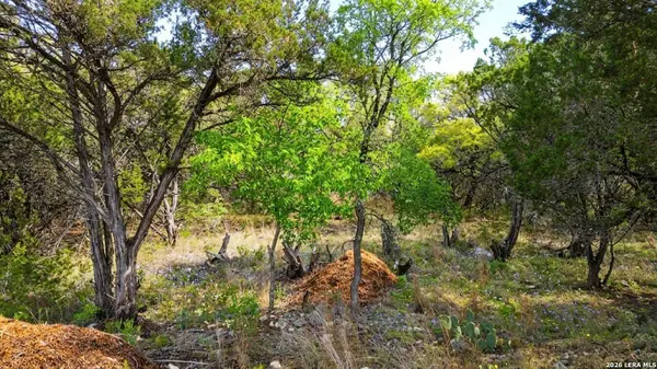 37 Stardust, Wimberley, TX 78676