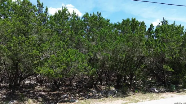1672 WINDING CREEK TRL, Spring Branch, TX 78070