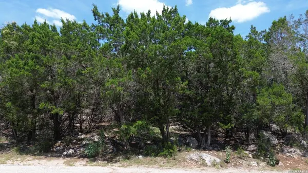1660 WINDING CREEK TRL, Spring Branch, TX 78070