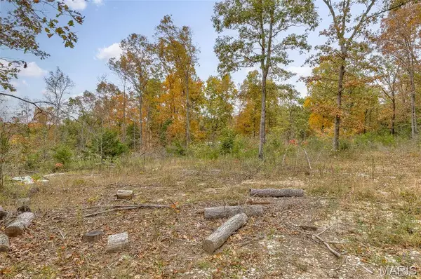 Lot 1 Wicket RD, Cadet, MO 63630