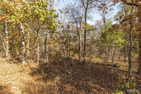 Lot 6 Thunder Ridge RD, Richwoods, MO 63071