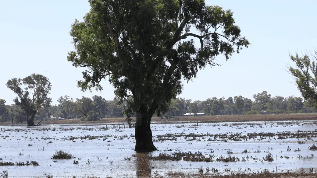 What Floodplain Designations Mean for South Texas Property Buyers