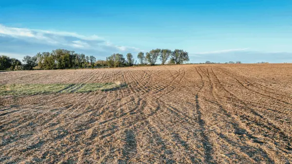 South Texas Land for Sale: What Buyers Should Know Before Investing