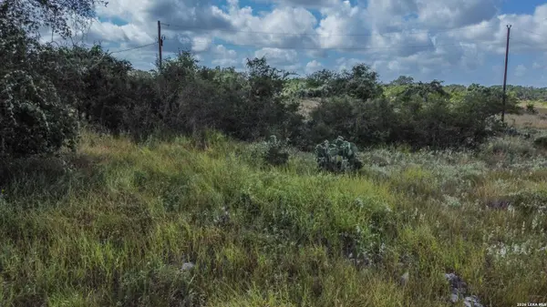 709 COUNTY ROAD 6723, Natalia, TX 78059