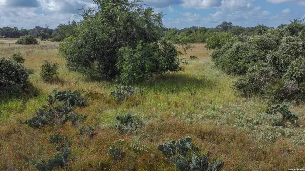 709 COUNTY ROAD 6723, Natalia, TX 78059