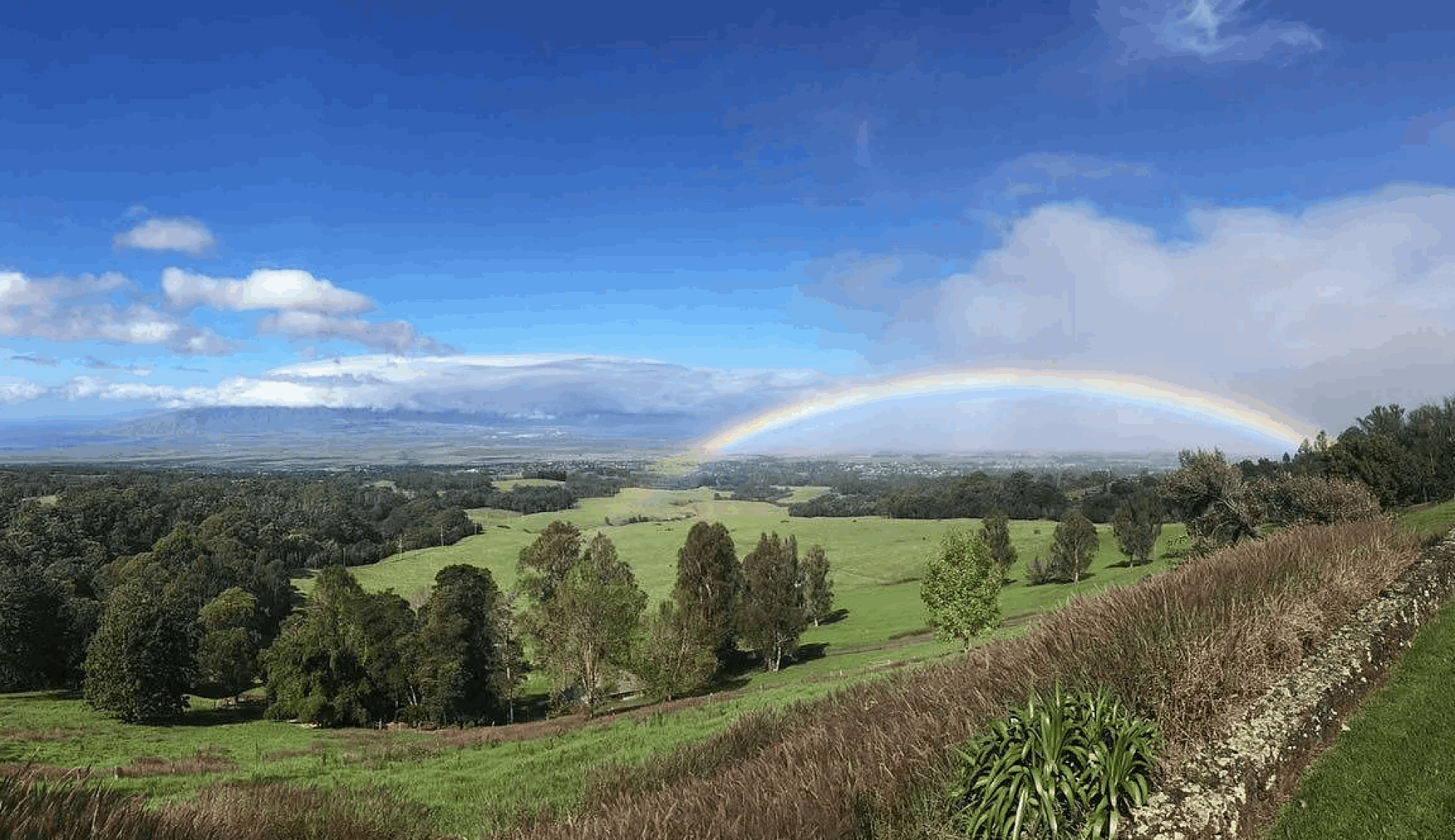 Screenshot 2025-11-19 at 9.11.56 PM