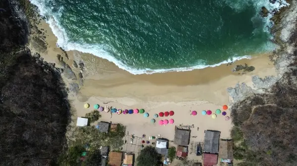 Why Investors Are Moving Their Money South,Tracey Greenman